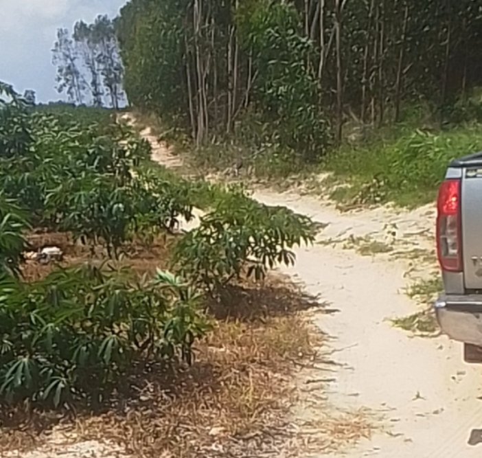 DATLAGIBINHTHUAN