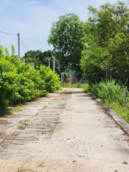 Vị Trí: Tân Phước, Tx Lagi, Bình Thuận.
