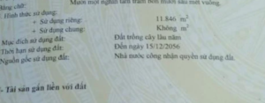 datbinhthuanvn