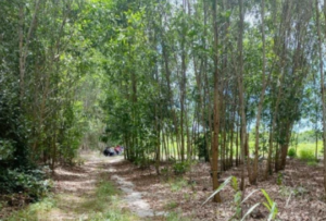 datbinhthuan.vn